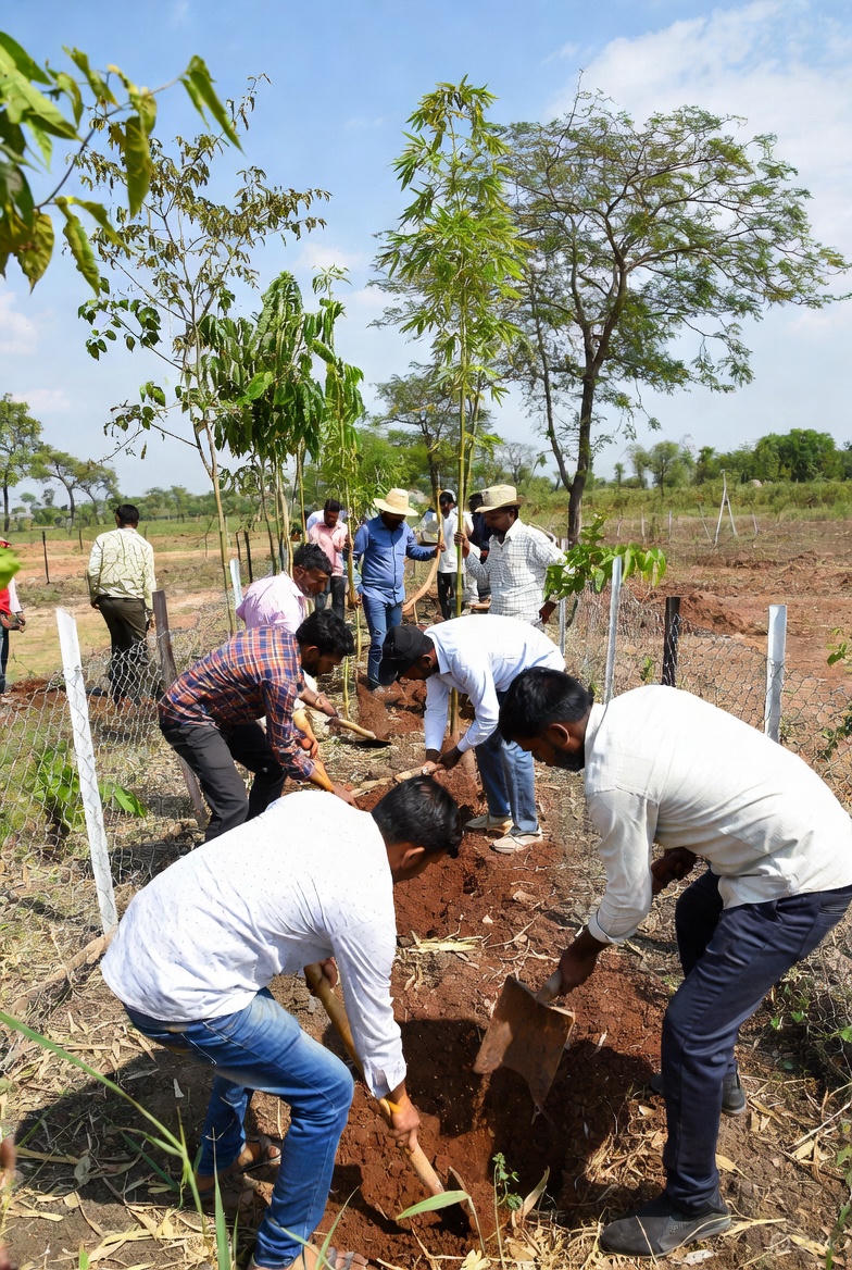 किसान वृक्ष मित्र योजना