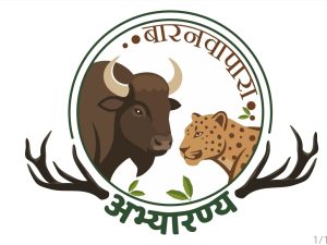 बारनवापारा अभ्यारण्य: तेंदुआ, गौर और बारहसिंगा की छाप वाला जारी हुआ आधिकारिक लोगो